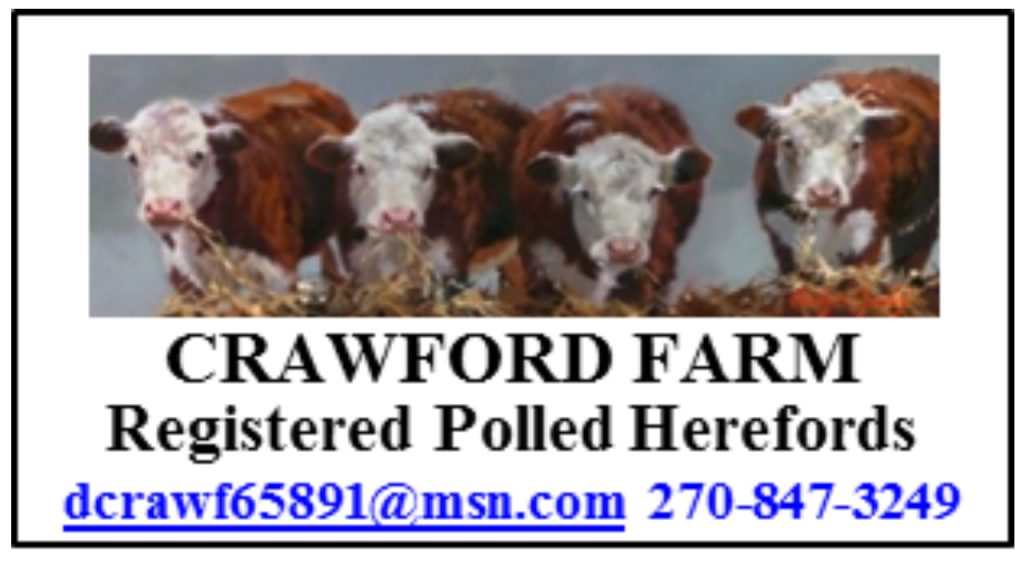 Crawford Farm sign with cattle